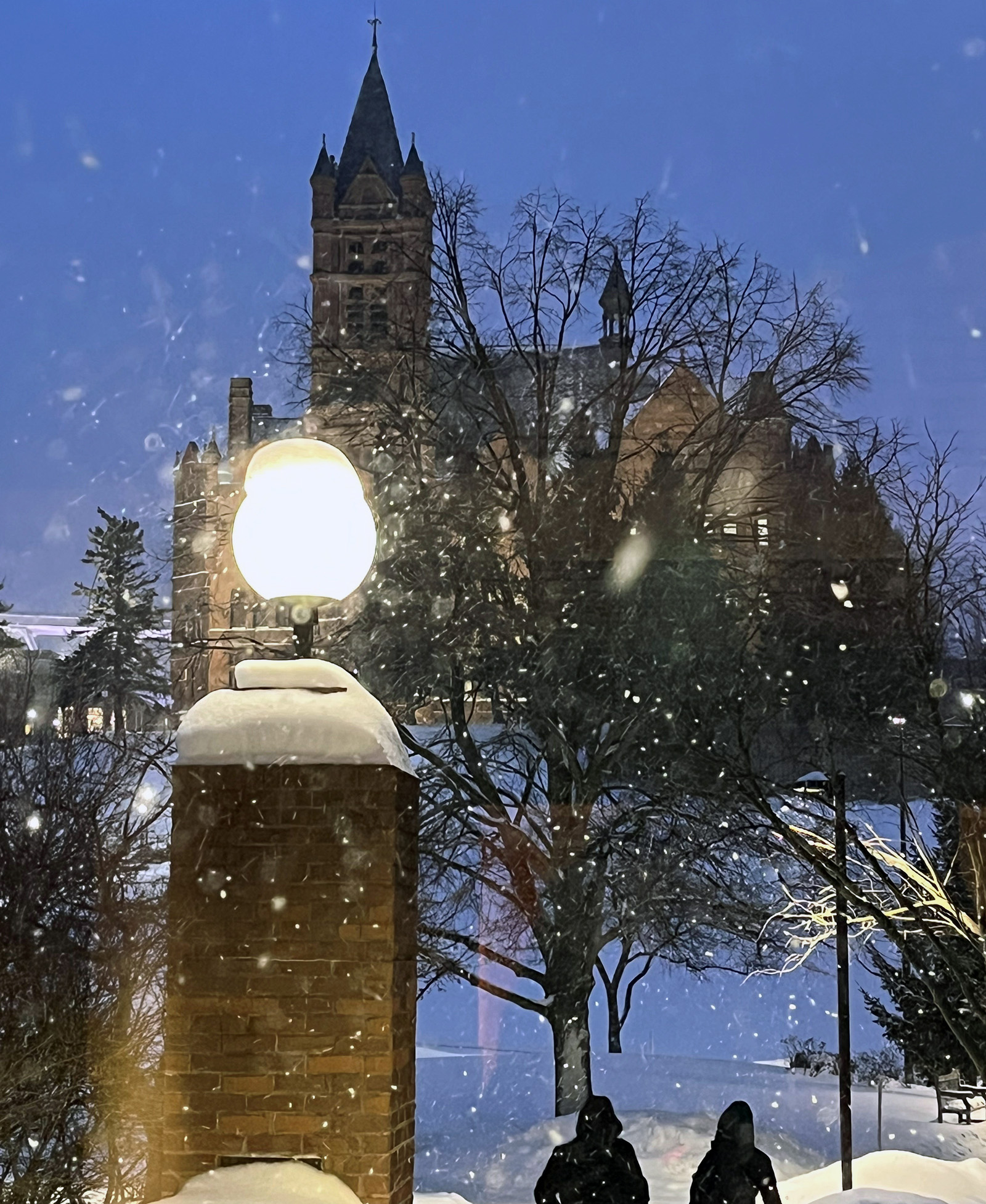 Snow falls around a historic building with tall spires, partially obscured by bare trees. A glowing lamppost in the foreground is capped with snow, and the ground is blanketed in white.