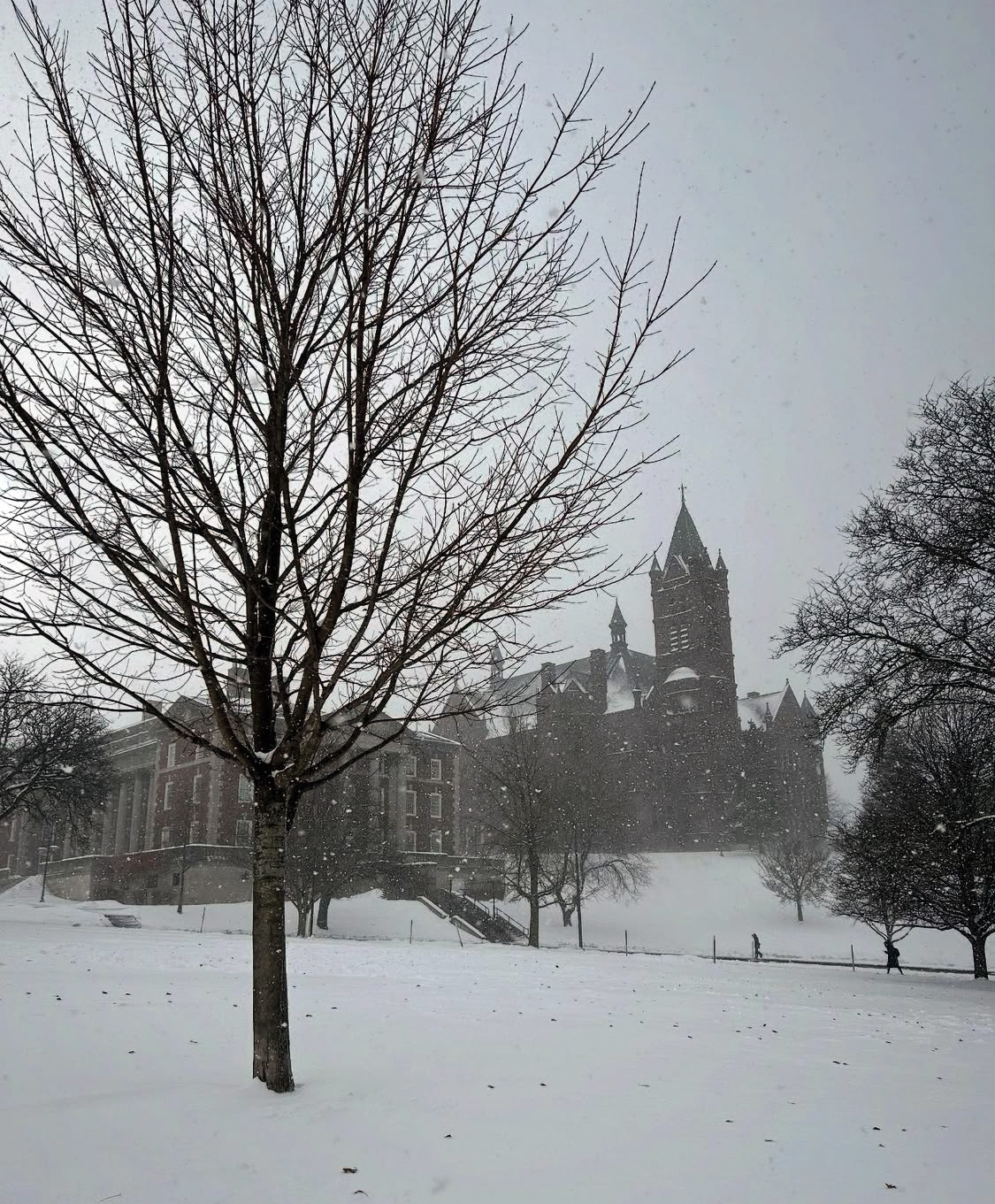 Snow-covered Syracuse University campus with a bare tree in the foreground and historic brick buildings with towers visible through falling snow