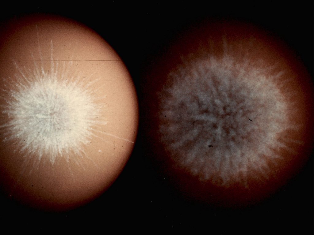 Two astronomical observations of the Kingfish nuclear test showing the red supergiant star Betelgeuse's surface with bright convective patterns radiating from its center.