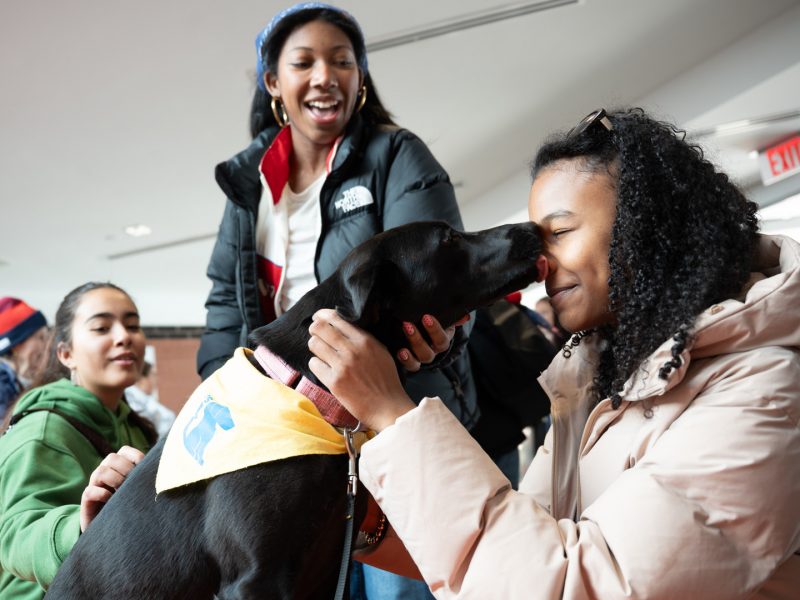 People gathered indoors petting a friendly black dog wearing a yellow bandana during a pet therapy event
