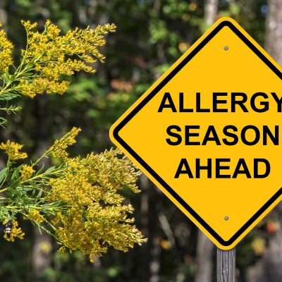 Caution Sign that says Allergy Season Ahead. To the left is a plant with lots of pollen in view