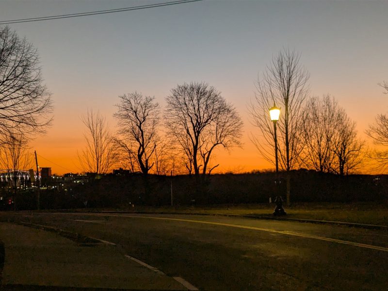 Campus roadway at sunrise with bare trees silhouetted against an orange sky