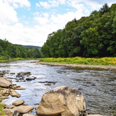 A rocky river winds through a lush forested valley under a partly cloudy summer sky.
