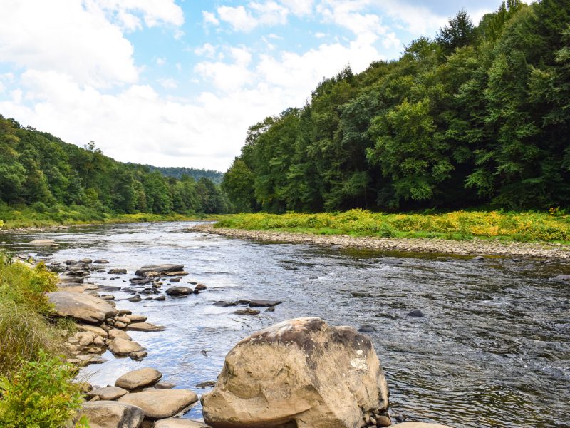 A rocky river winds through a lush forested valley under a partly cloudy summer sky.