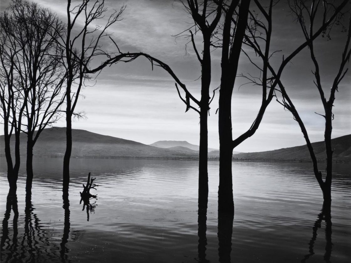 Syracuse University Art Museum Brings Recent Acquisitions to New York 