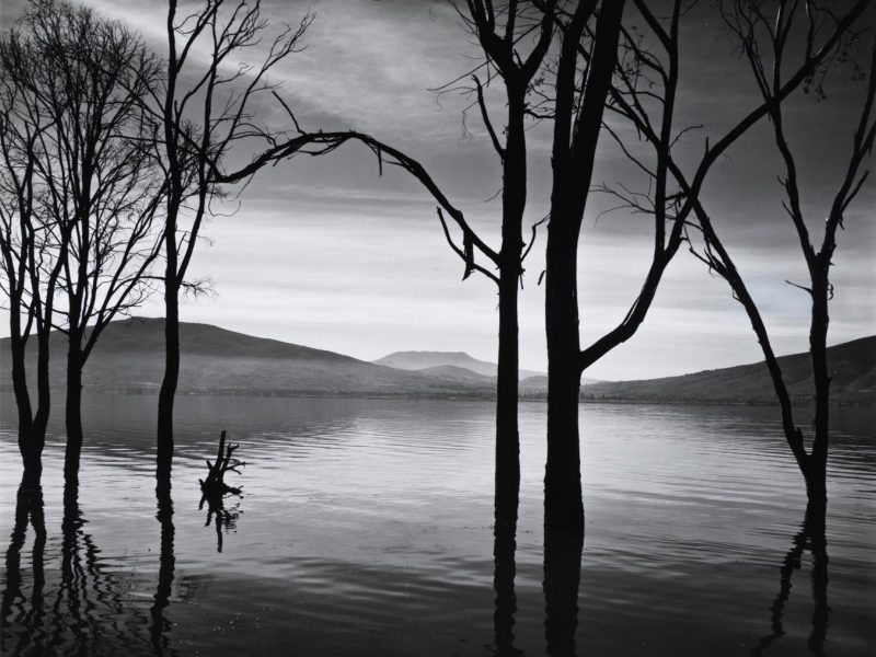 Syracuse University Art Museum Brings Recent Acquisitions to New York 