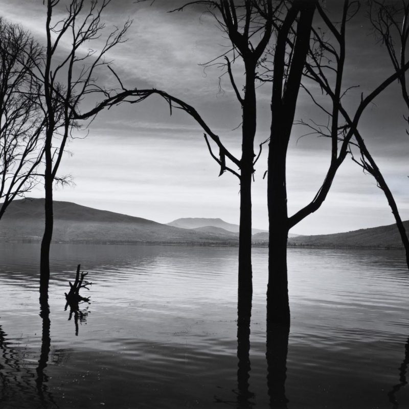 Syracuse University Art Museum Brings Recent Acquisitions to New York 