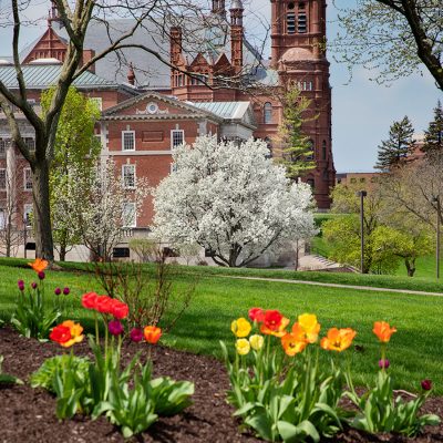 A colorful tulip garden in the foreground of a lush green Syracuse University campus in spring, with historic red brick buildings visible in the background.