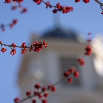 Red spring buds on tree branches with a softly blurred campus cupola in the background under a blue sky.