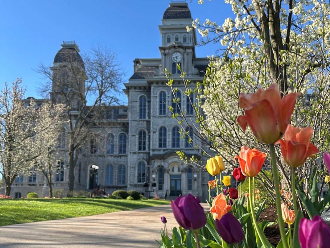 Syracuse Views Spring 2026