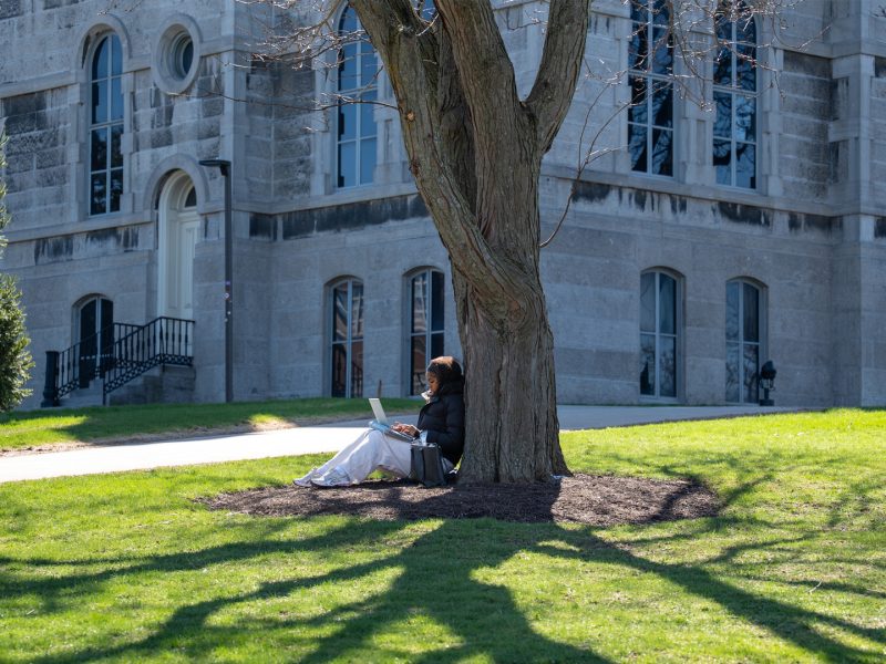 Person sitting under a tree and using a laptop on a sunny campus lawn beside a large stone building