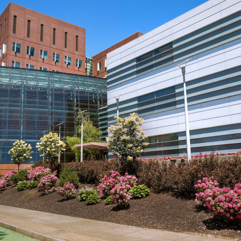 Whitman School Rated No. 1 for Experiential Learning Participation by Poets&Quants