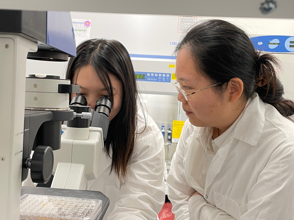 Two students in white lab coats work at a microscope in a research lab.