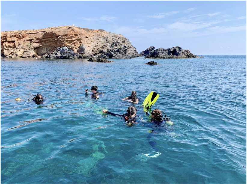 Five scuba divers in black wetsuits float at the surface of clear turquoise water near a rocky coastline under a blue sky. One diver's bright yellow-green fins are visible above the water. Rocky cliffs and outcroppings line the shore in the background.