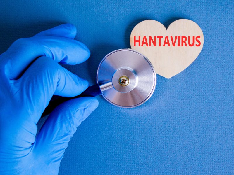 A gloved hand holds a stethoscope up to a wooden heart shape printed with the word 'Hantavirus' against a blue background