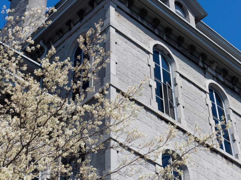 The exterior of the Hall of Languages with a spring tree in bloom.