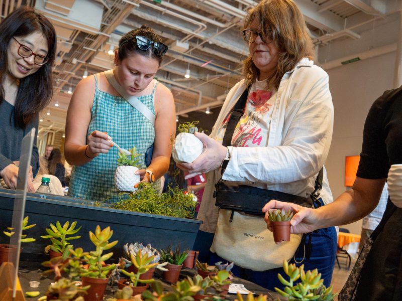 Attendees select and pot succulents at a hands-on activity station during SummerFest at Miron Victory Court in the JMA Wireless Dome.