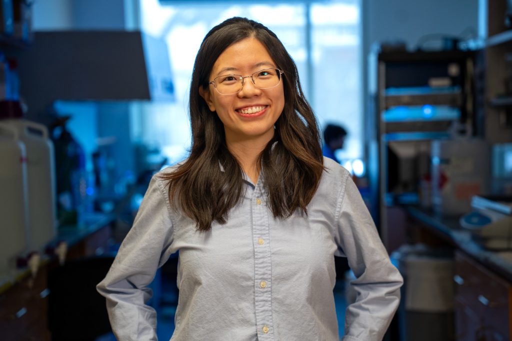 Researcher Targets Parkinson’s With Nanoparticle Therapy