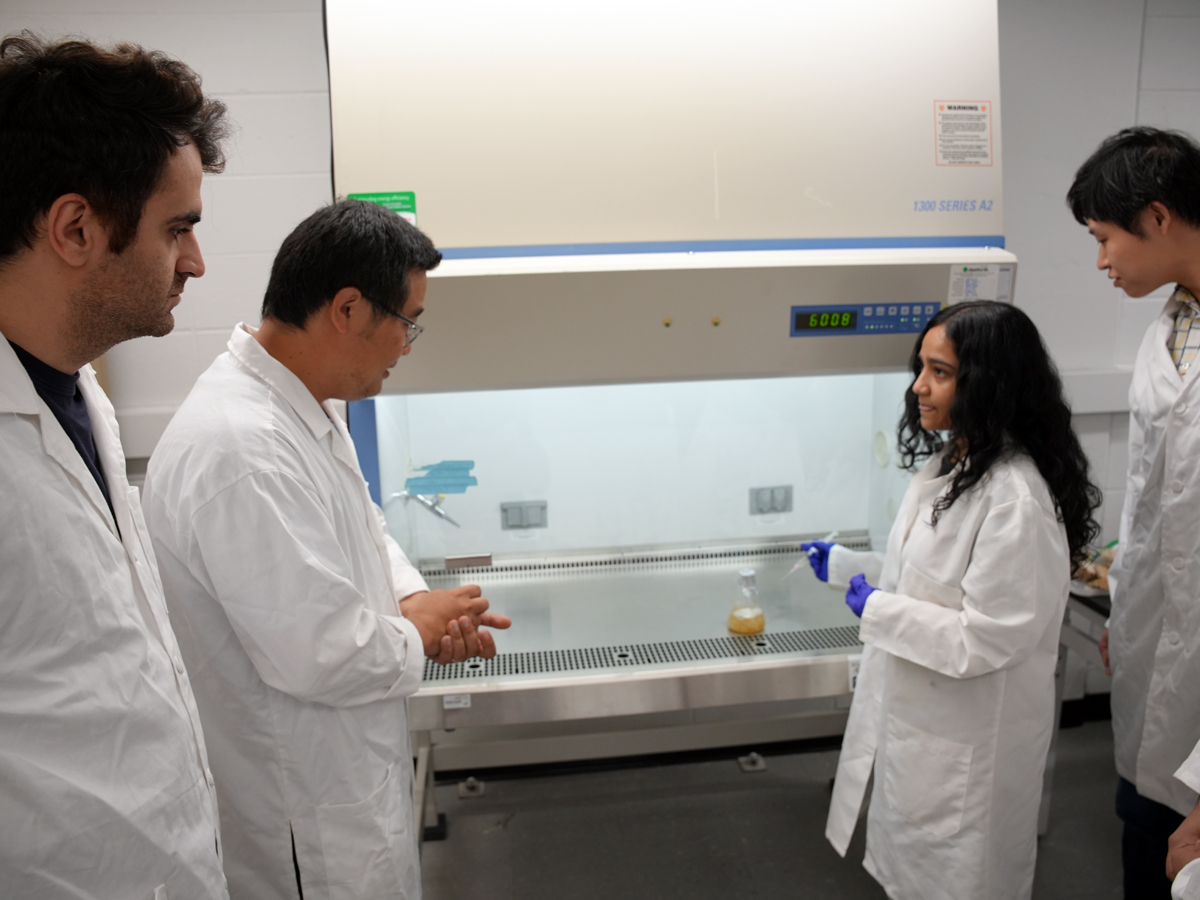 Four researchers in lab coats confer around a biosafety cabinet in a laboratory.