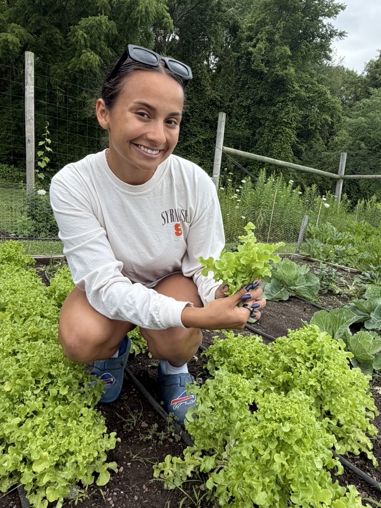 Person harvesting lettuce in a garden bed surrounded by leafy greens.