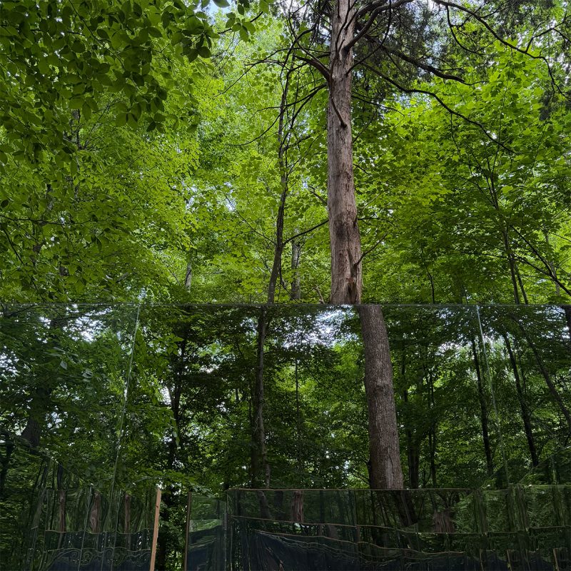 Students Bring Faculty-Led Pavilion to Life at Bernheim Forest