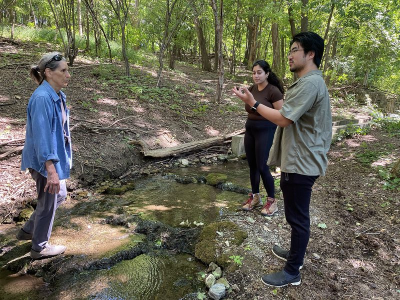Three people talking beside a small, rocky woodland stream, dappled in sunlight. One man gestures with his hands as if explaining something, while the other two listen.