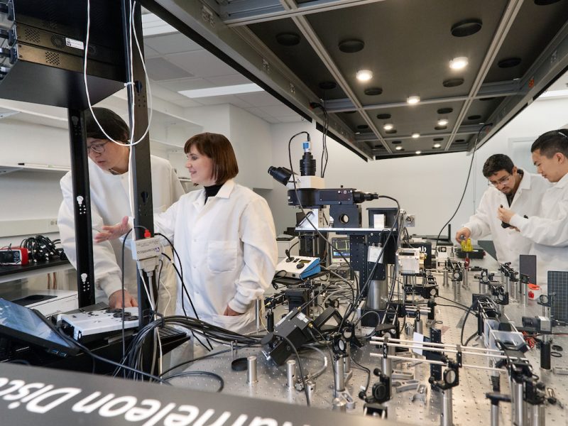 4 Faculty Earn Prestigious NSF Early CAREER Awards