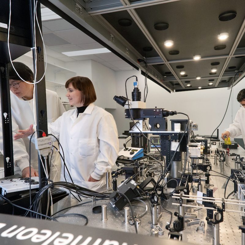 4 Faculty Earn Prestigious NSF Early CAREER Awards