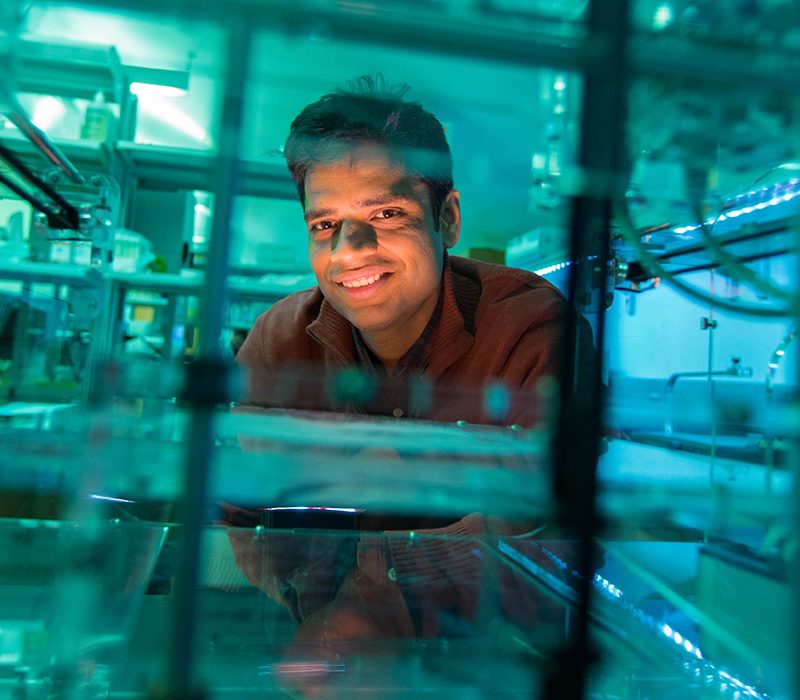 Pranav Soman Named Director of BioInspired Institute