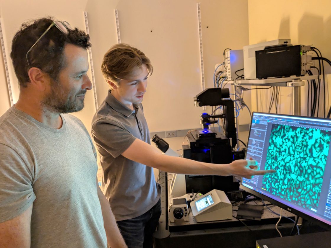 A&S Scientists Design Proteins With No Fixed Shape