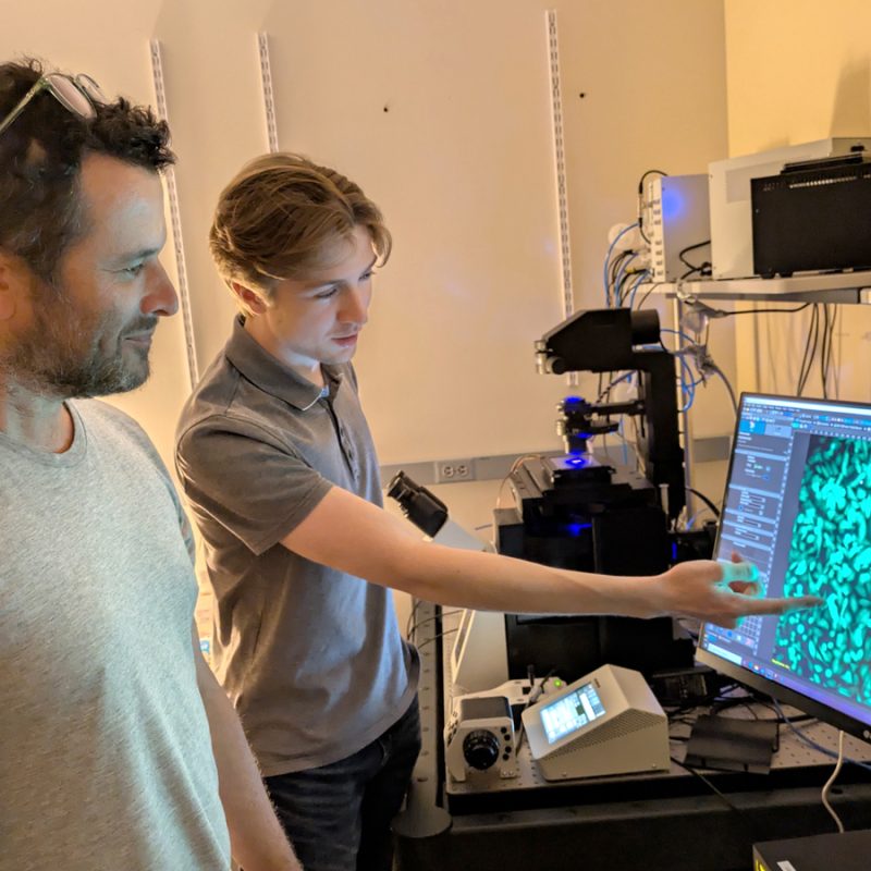 A&S Scientists Design Proteins With No Fixed Shape