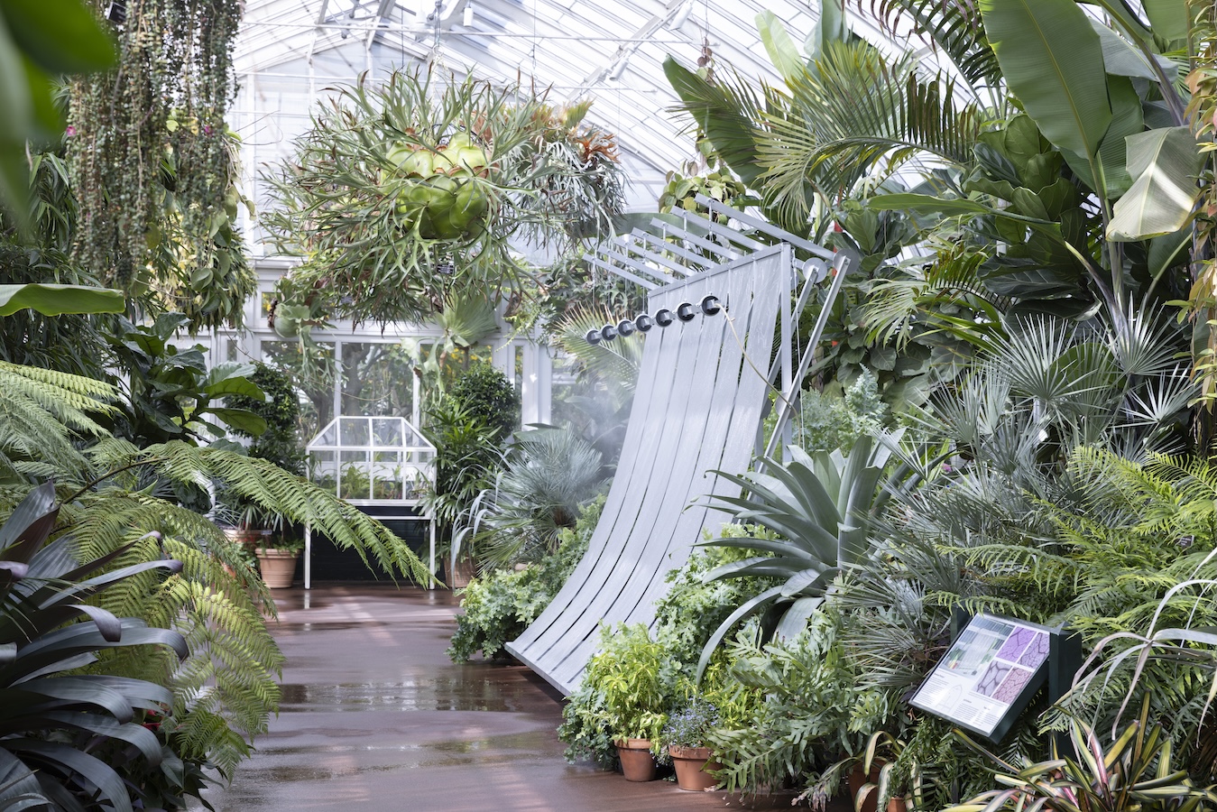Mesh installation curves through a lush greenhouse, blending with surrounding tropical plants and climbing vines.