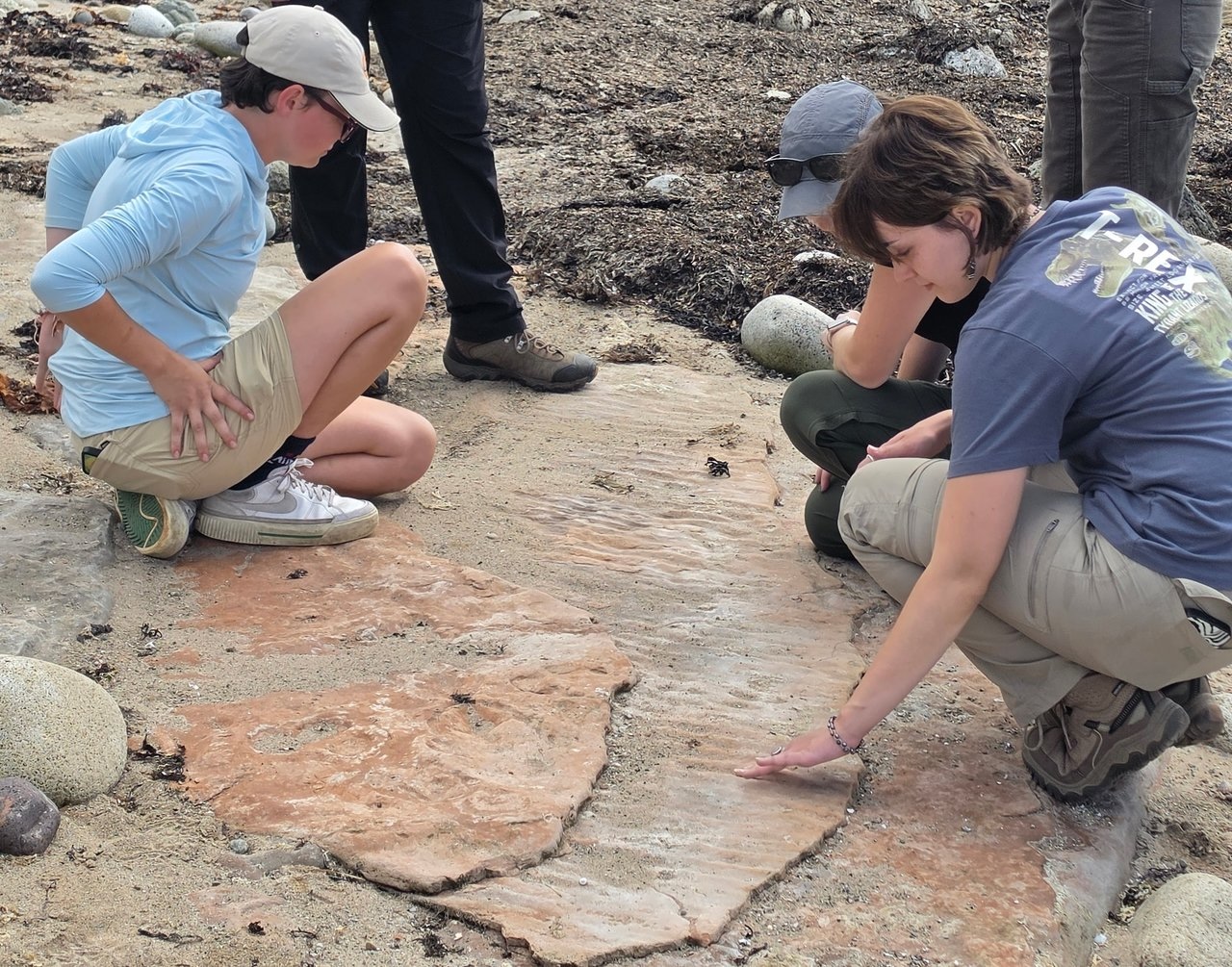 Students examining ripple marks preserved in coastal rock outcrop.