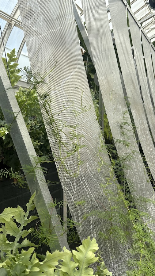 Close-up of white mesh panels with delicate plant patterns, intertwined with climbing vines in a greenhouse installation.