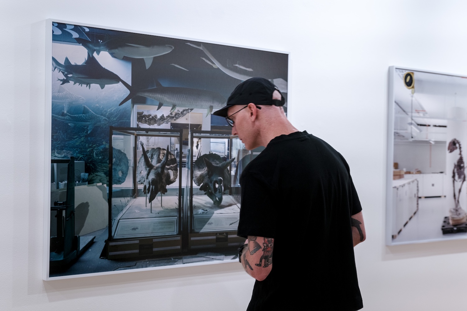 Visitor examines a framed photograph of museum specimens and aquatic life displayed in a gallery exhibition.