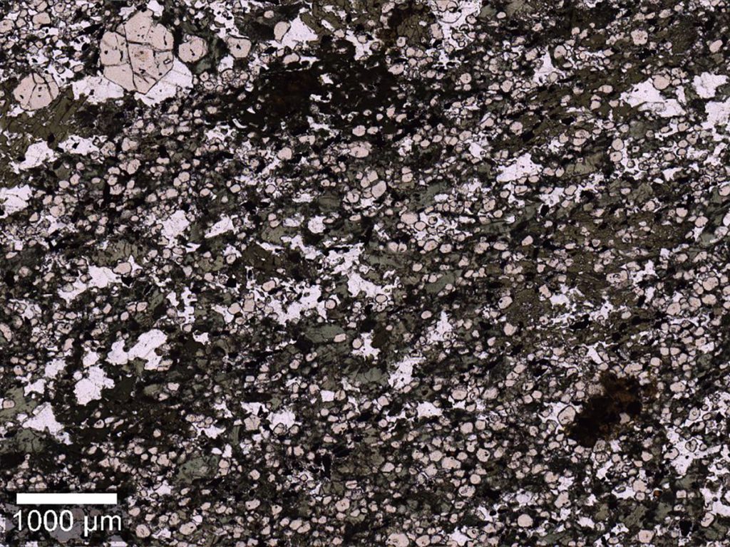 Microscope image of eclogite with pinkish garnet grains in a dark green matrix.