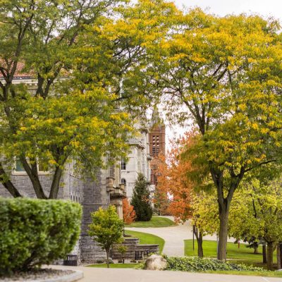 Yellow and orange fall foliage frames a curving walkway and a stone building, with a brick tower rising in the distance on Syracuse University’s campus.