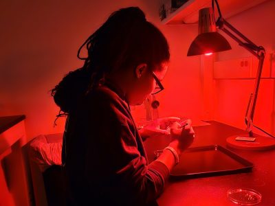 Fellowship Funds A&S Student’s Study on How Brains Combine Senses