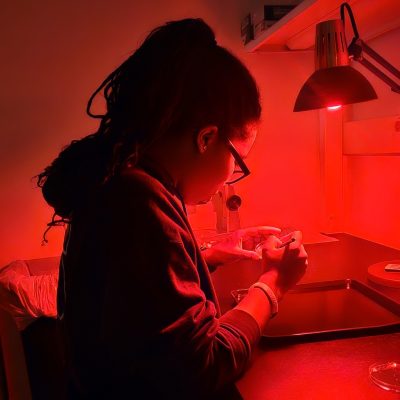 Person working at a laboratory bench under red light, handling a specimen tray near a petri dish.
