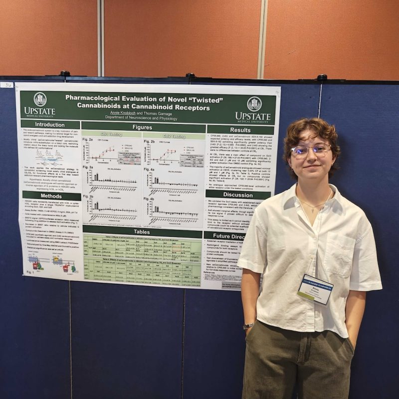 Syracuse Students Gain Biomedical Research Experience Through Upstate Research Program